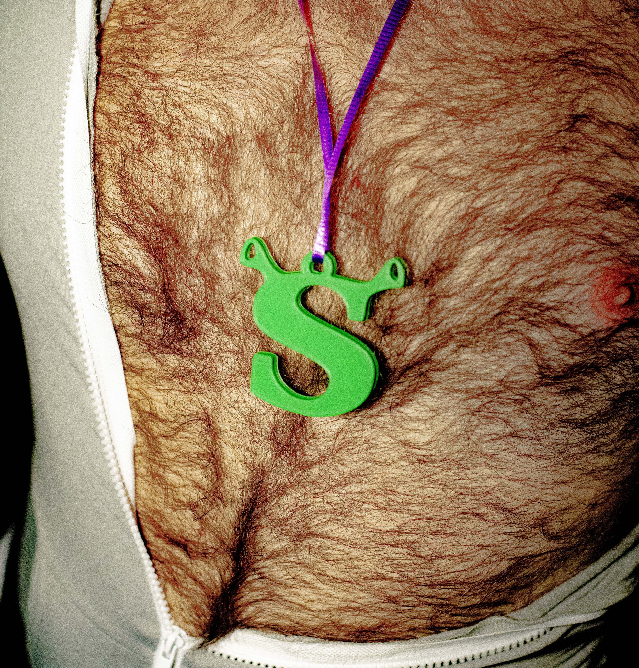 Shrek Rave commission cover