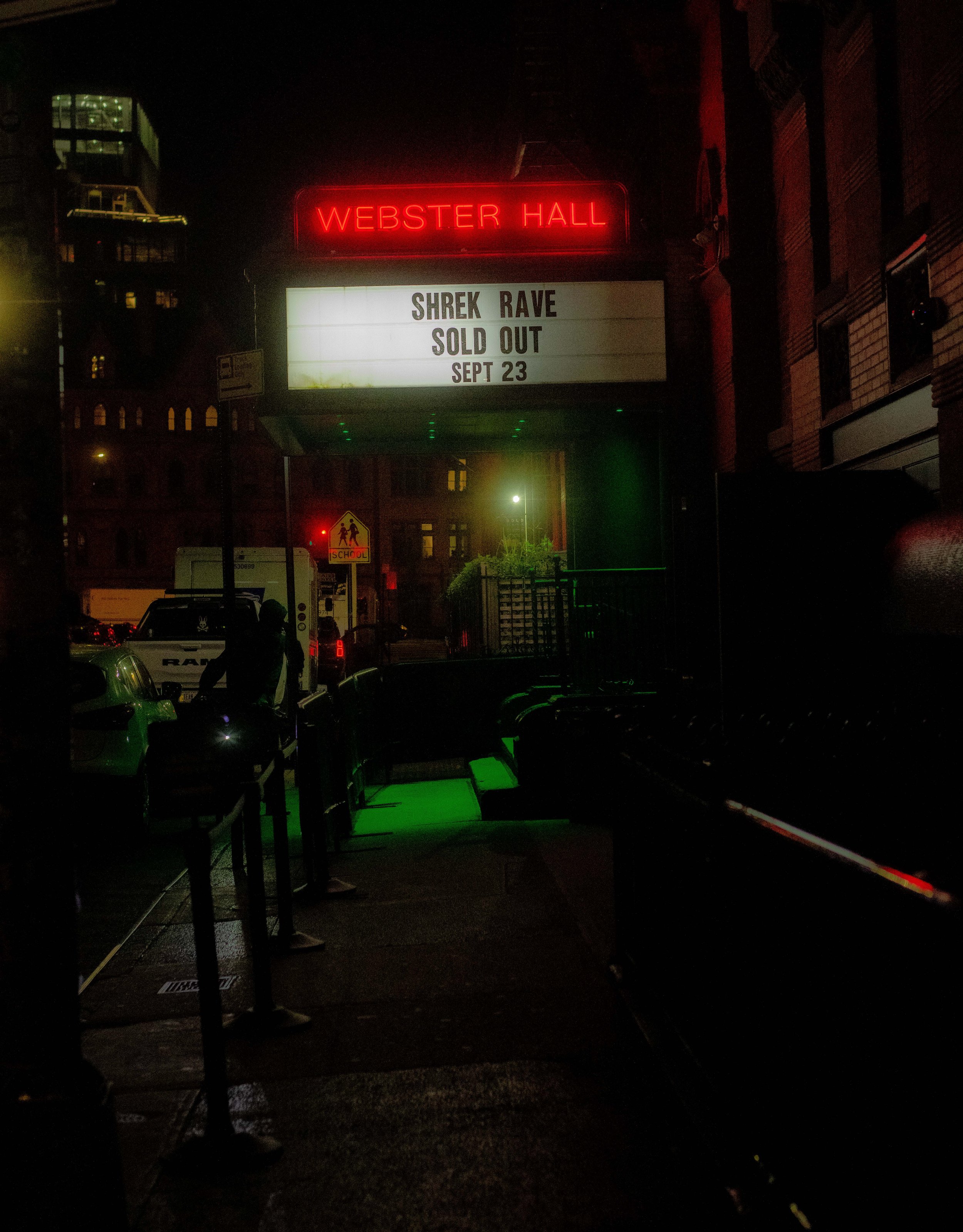 Shrek Rave commission photo 8